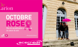 https://decarion.com/decarion-participe-a-octobre-rose-en-partenariat-avec-ace-credit-montpellier/